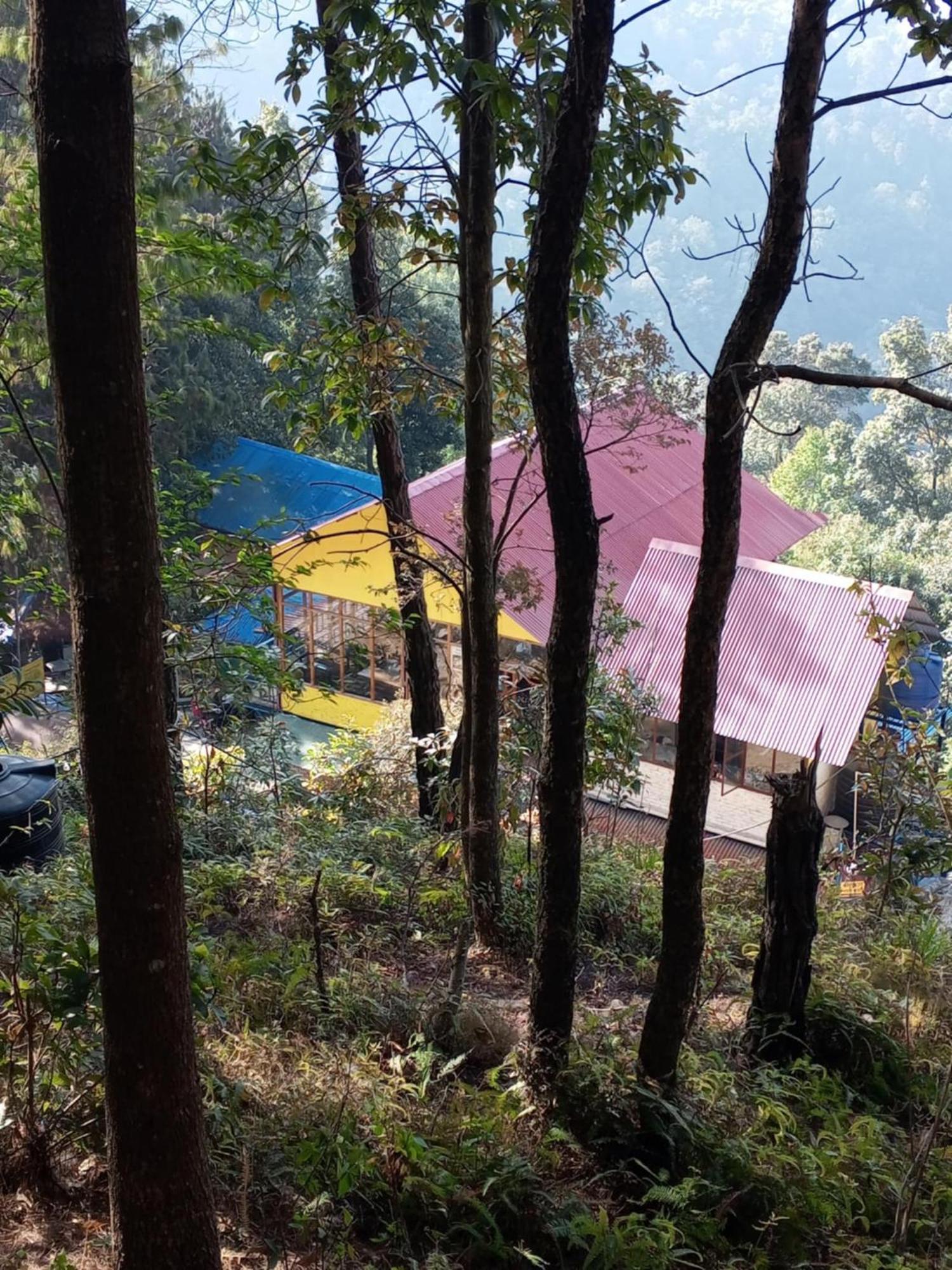 Jungle Crown Organic Homestay 纳加阔特 外观 照片