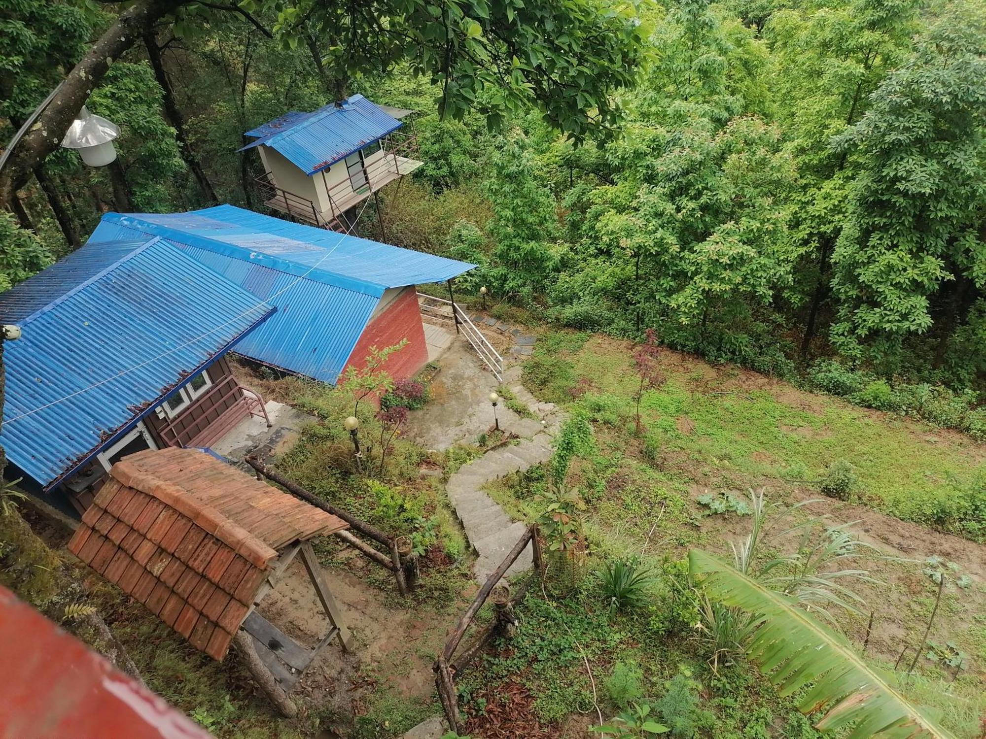 Jungle Crown Organic Homestay 纳加阔特 客房 照片