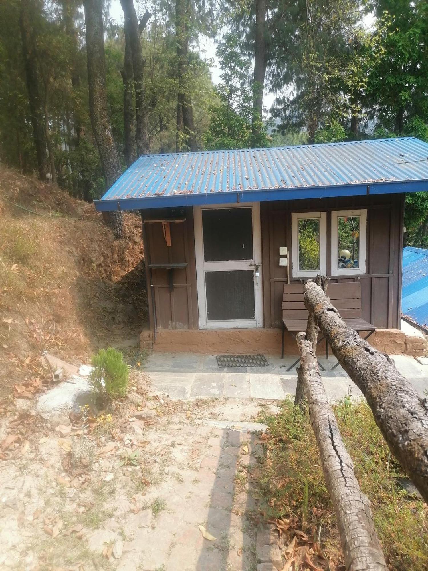 Jungle Crown Organic Homestay 纳加阔特 客房 照片